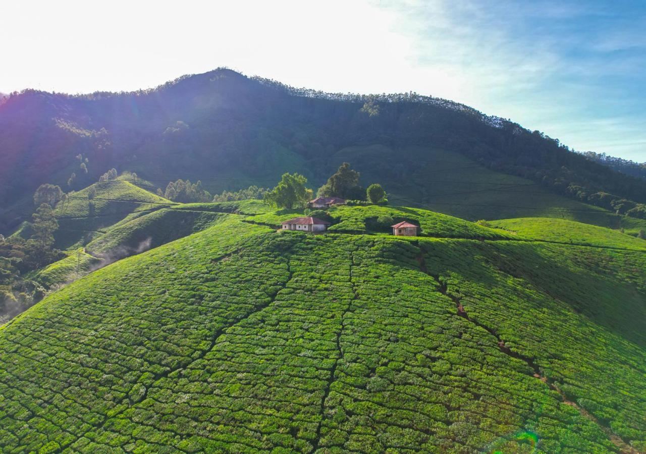 Arivikad Tea Bungalow Munnar By Voye Homes Suryanelli 外观 照片