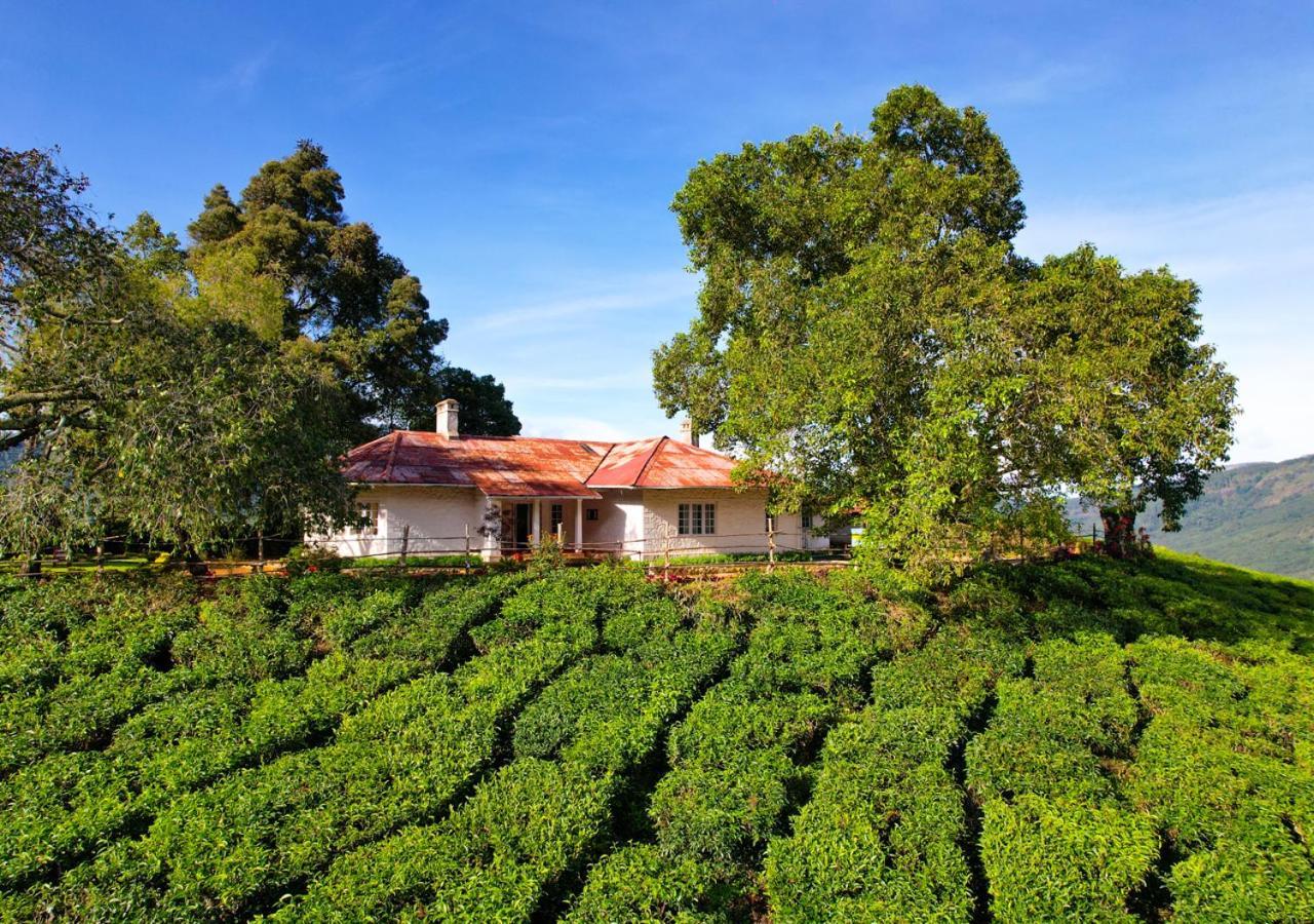 Arivikad Tea Bungalow Munnar By Voye Homes Suryanelli 外观 照片
