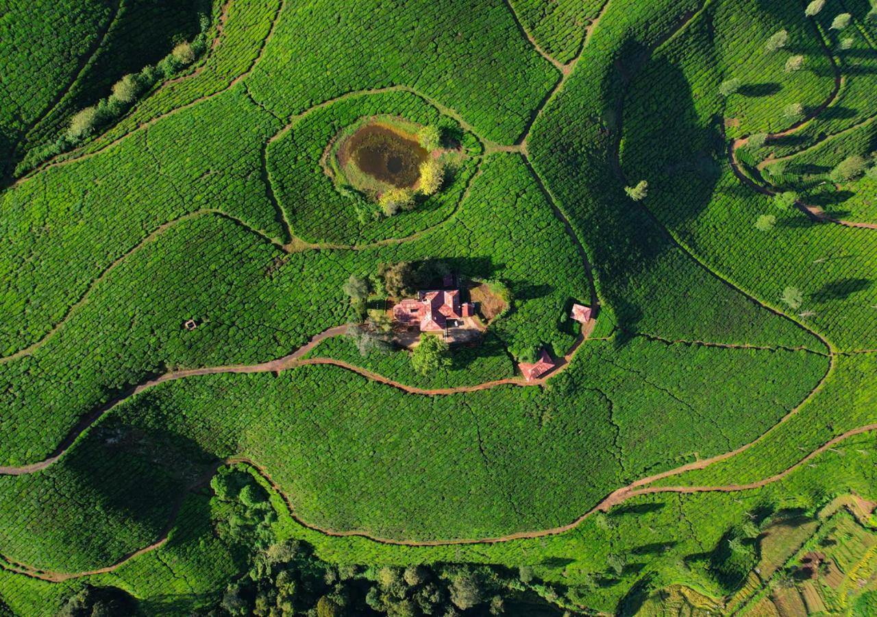 Arivikad Tea Bungalow Munnar By Voye Homes Suryanelli 外观 照片