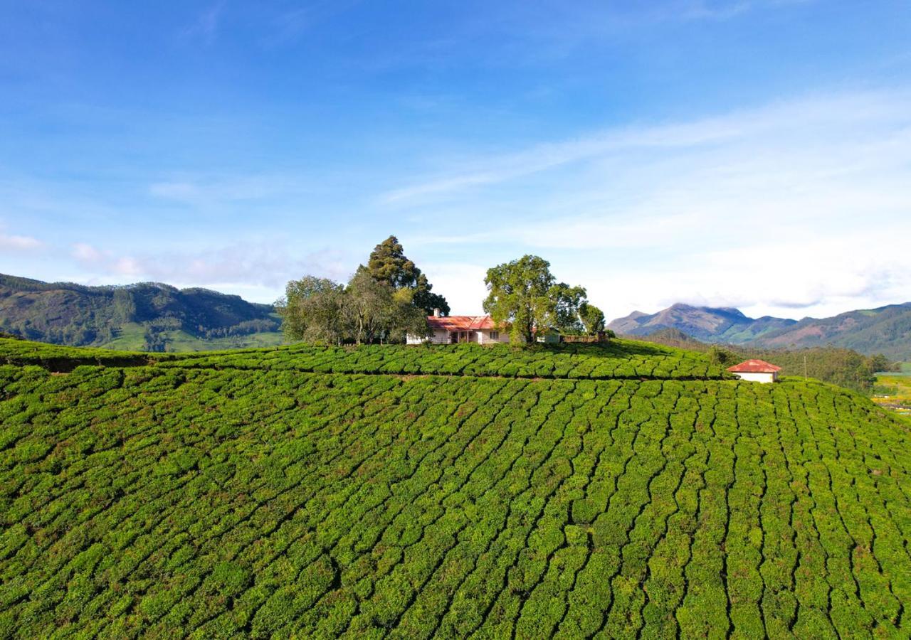 Arivikad Tea Bungalow Munnar By Voye Homes Suryanelli 外观 照片