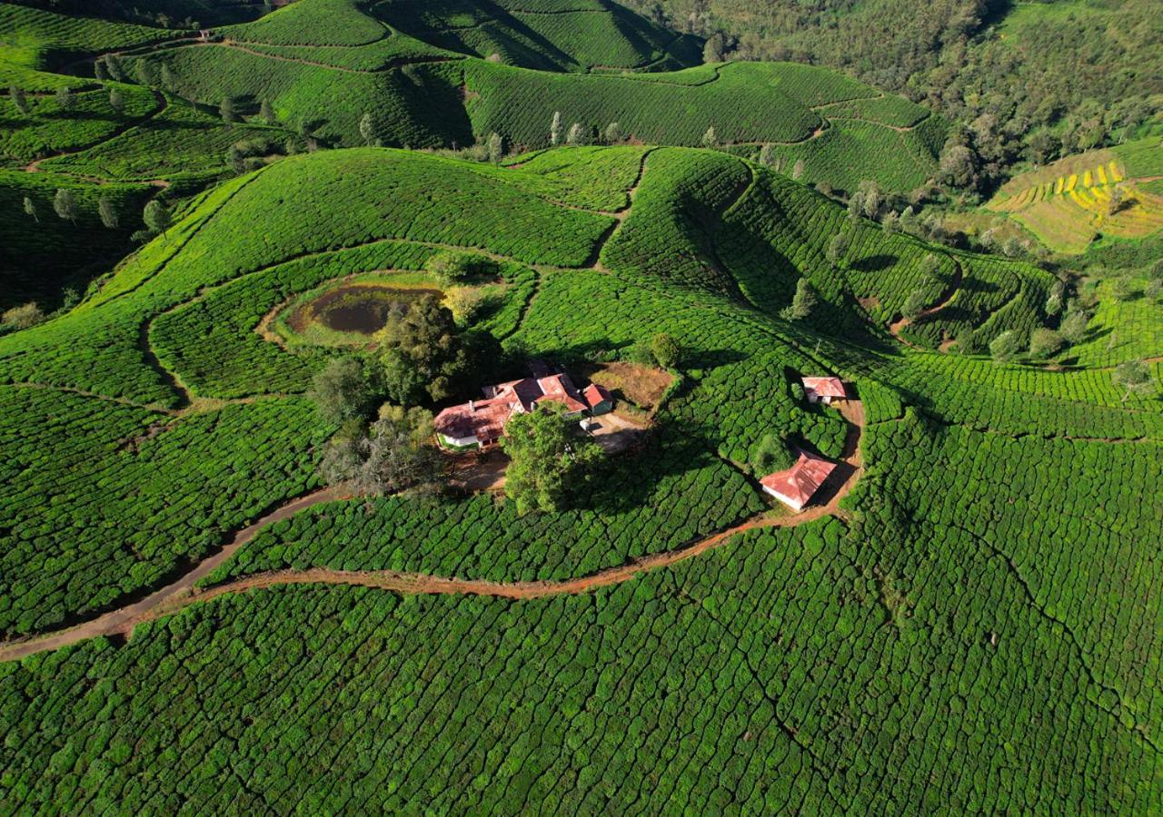 Arivikad Tea Bungalow Munnar By Voye Homes Suryanelli 外观 照片