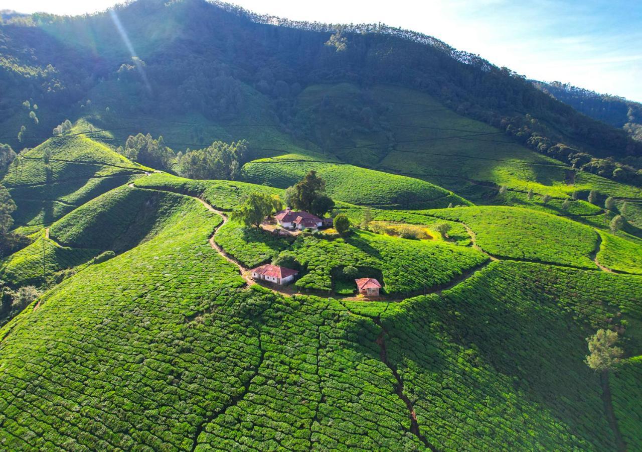Arivikad Tea Bungalow Munnar By Voye Homes Suryanelli 外观 照片