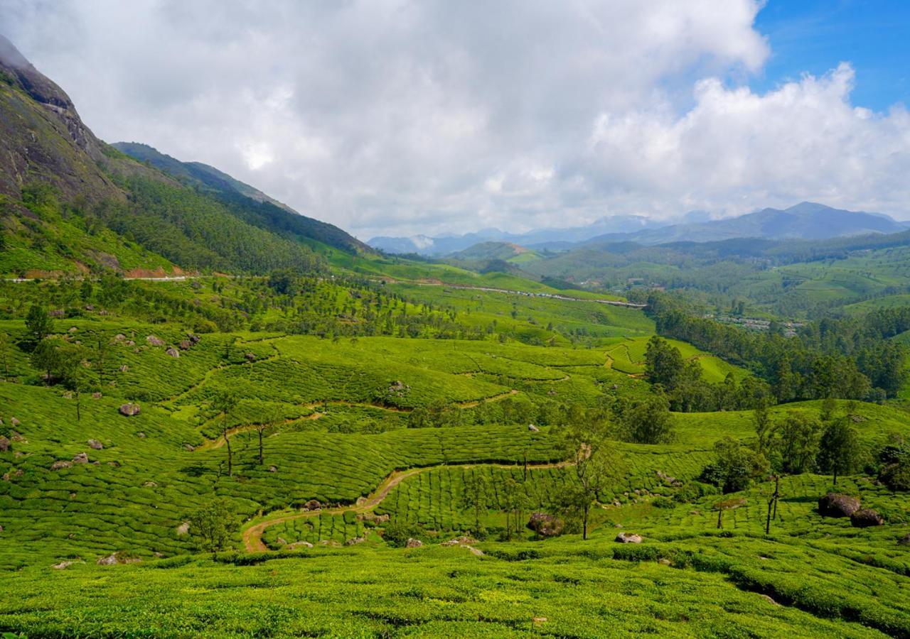 Arivikad Tea Bungalow Munnar By Voye Homes Suryanelli 外观 照片