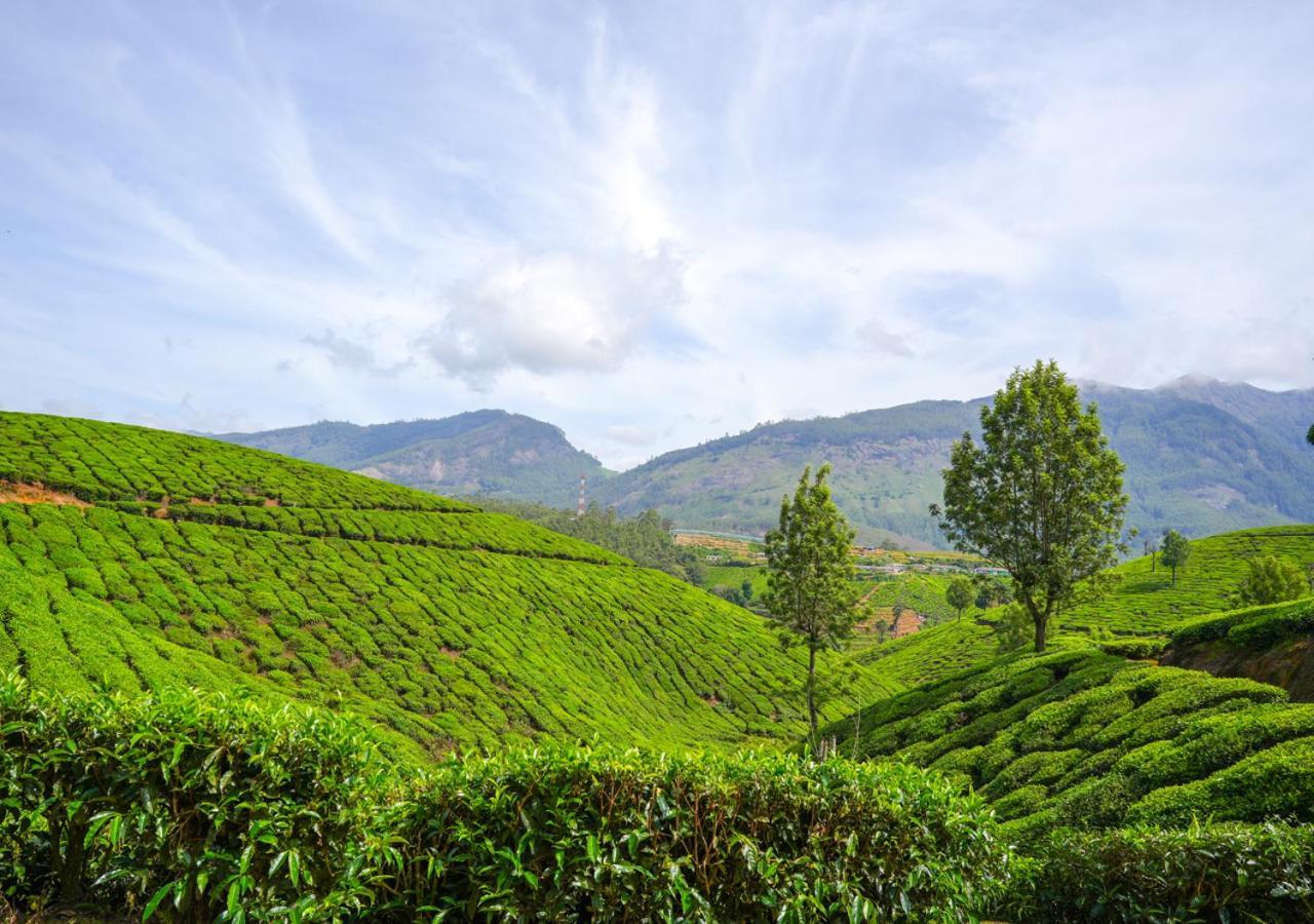 Arivikad Tea Bungalow Munnar By Voye Homes Suryanelli 外观 照片